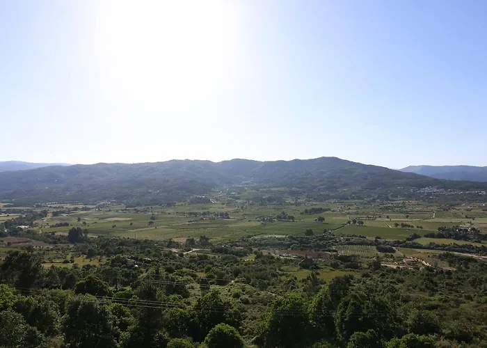 Sinai מלון בלמונטה